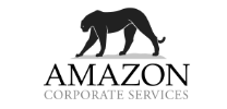 Amazon corporate service