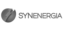 Synergia